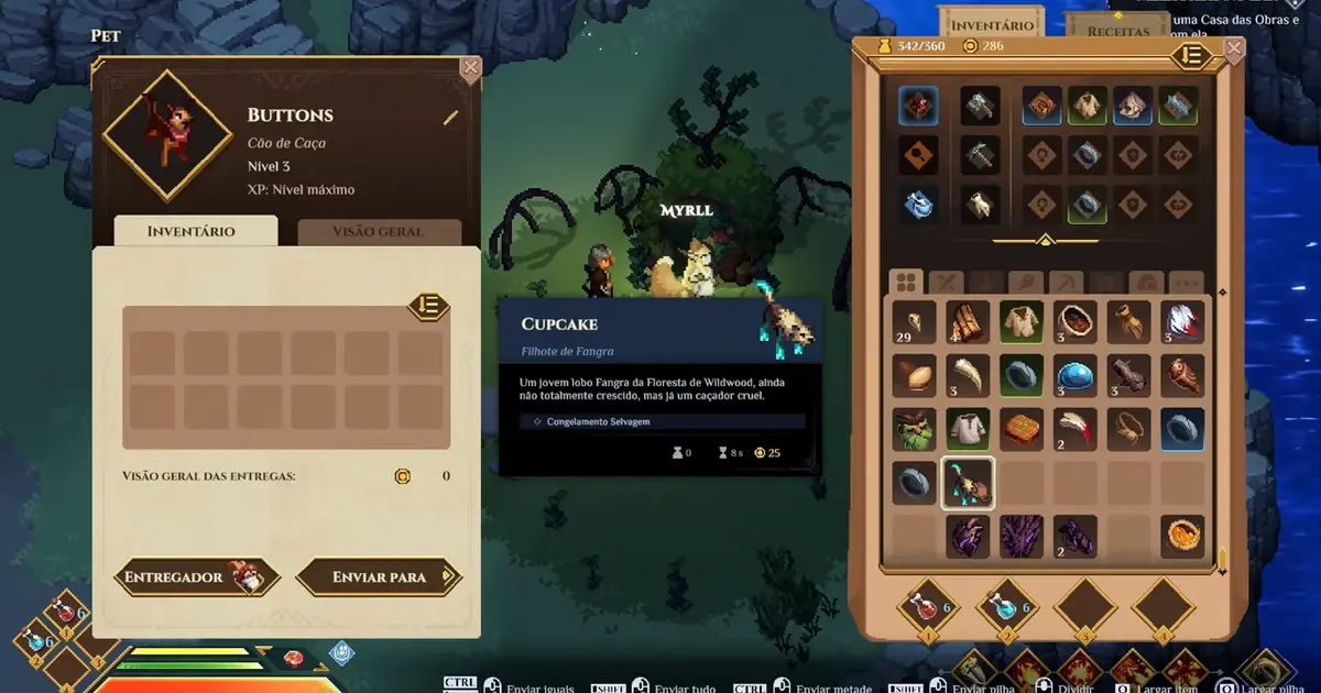 Dimraeth player beside Myrll with a pet item selected in the inventory